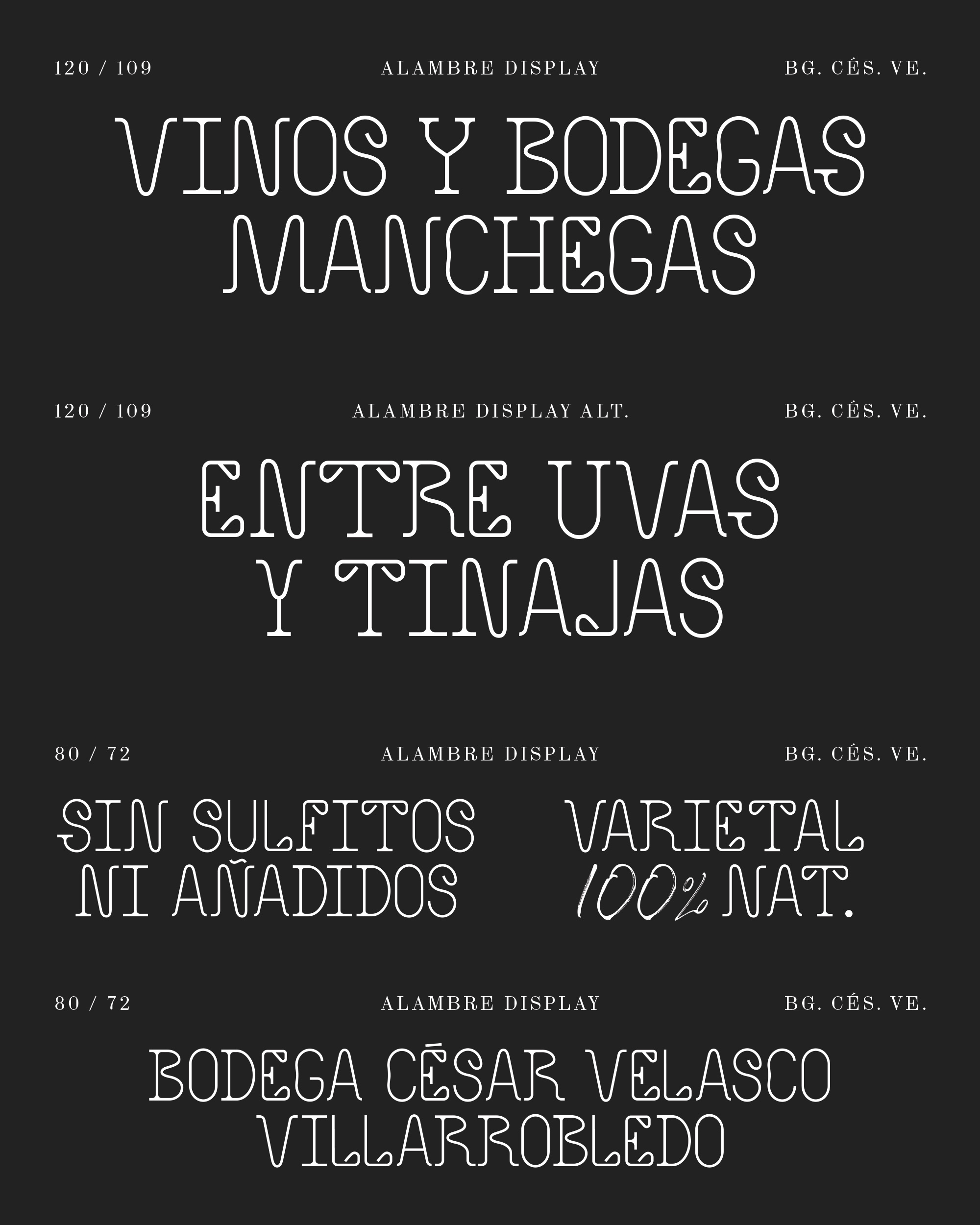 Bodega César Velasco