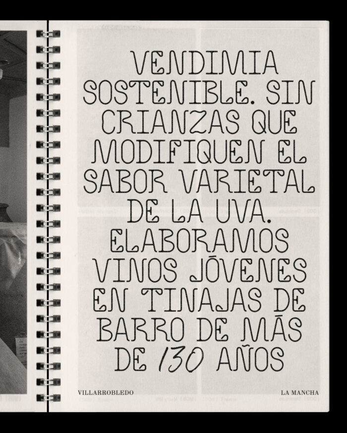 Bodega César Velasco - Imagen 13
