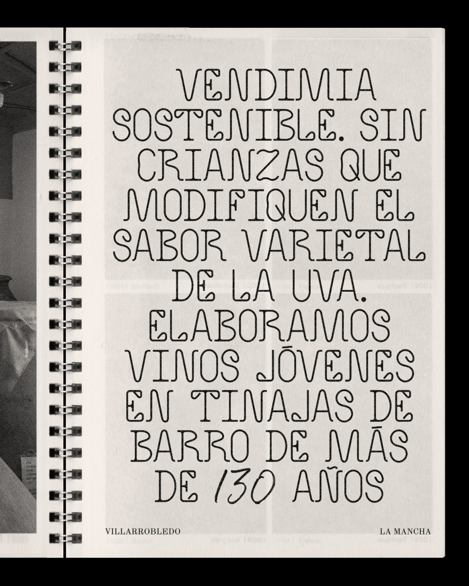 Bodega César Velasco