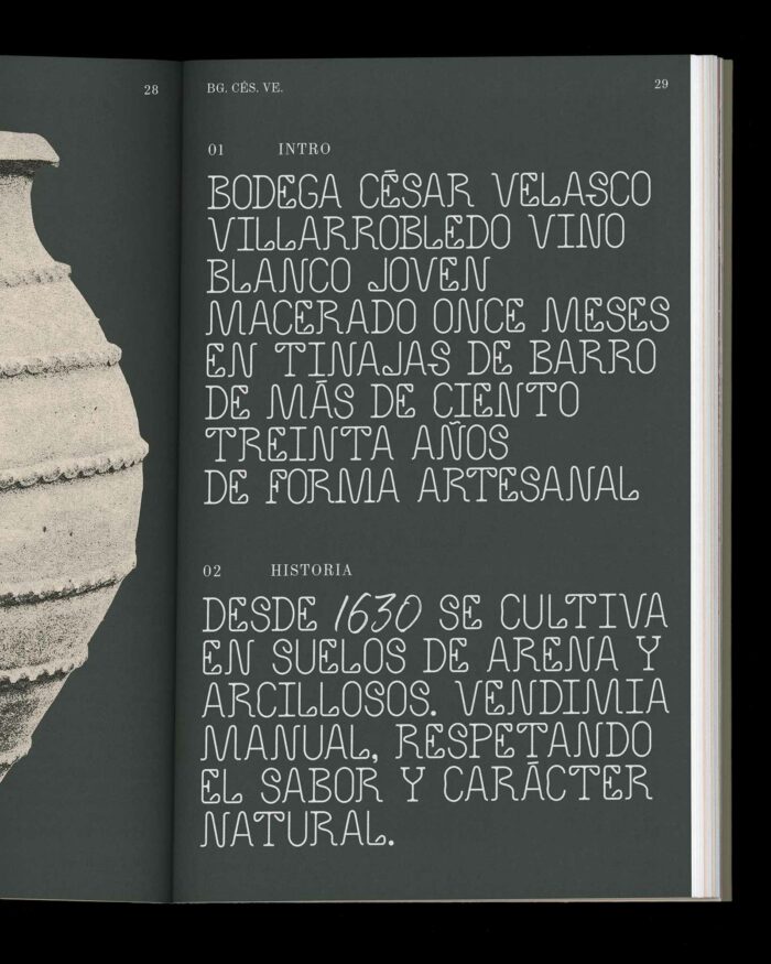 Bodega César Velasco - Imagen 10