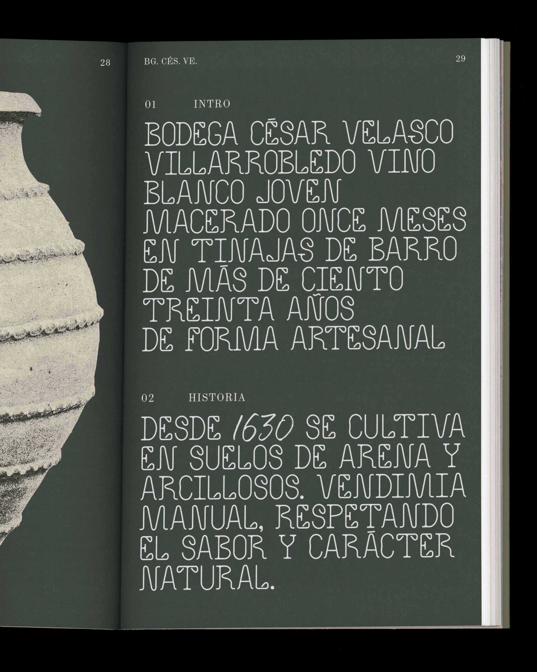 Bodega César Velasco