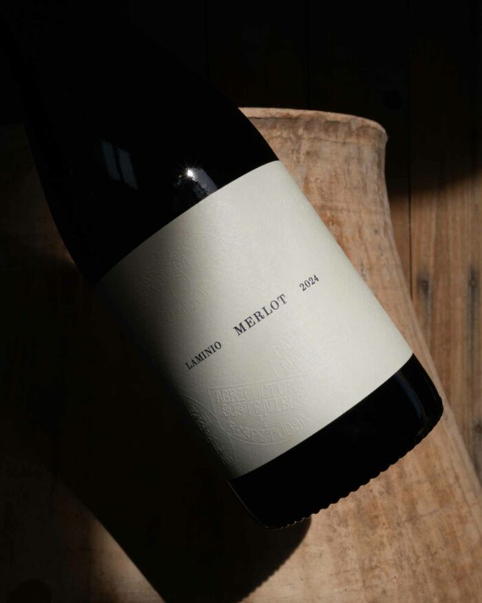 Bodega César Velasco - Imagen 5