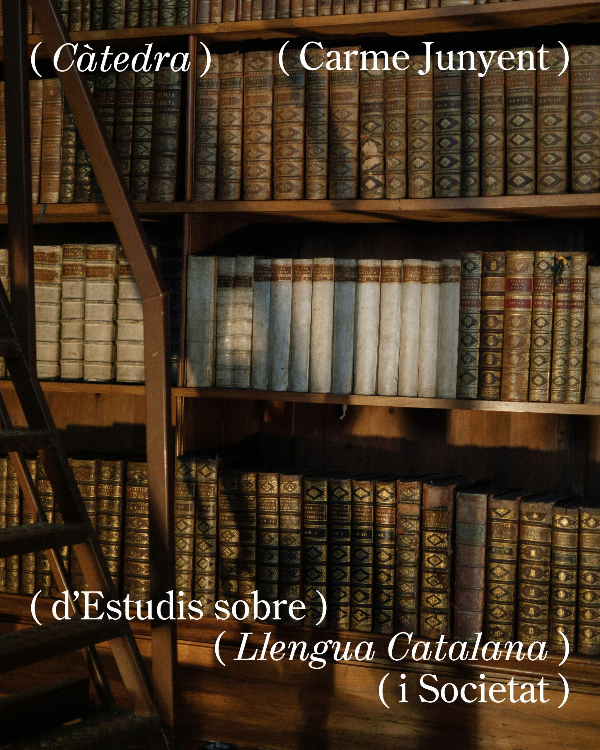 Càtedra Carme Junyent d’Estudis sobre Llengua Catalana i Societat