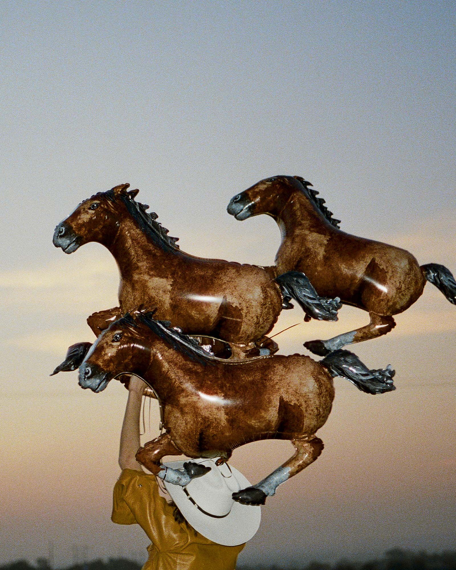 Vaquero