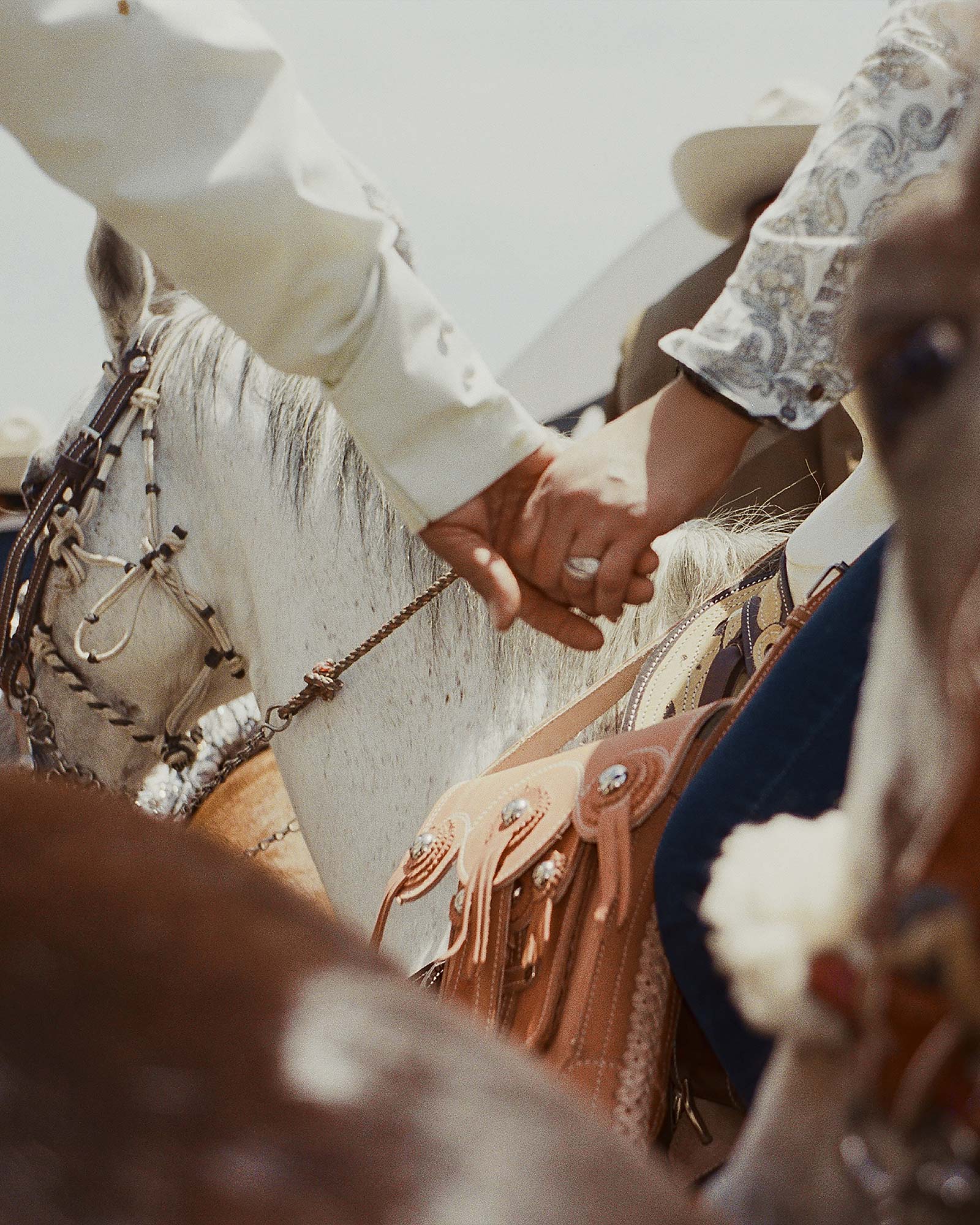 Vaquero